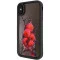 Raspberry